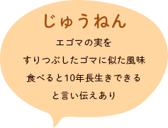 じゅうねん／エゴマの実をすりつぶしたゴマに似た風味　食べると10年長生きできると言い伝えあり